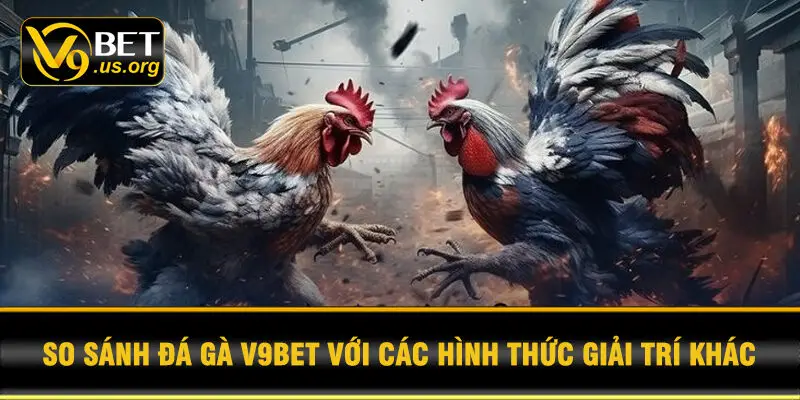 So sánh đá gà V9BET với các hình thức giải trí khác