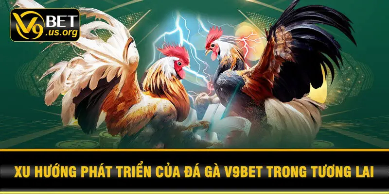 Xu hướng phát triển của đá gà V9BET trong tương lai