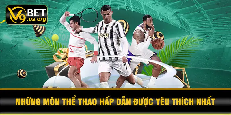 Những môn thể thao hấp dẫn được yêu thích nhất